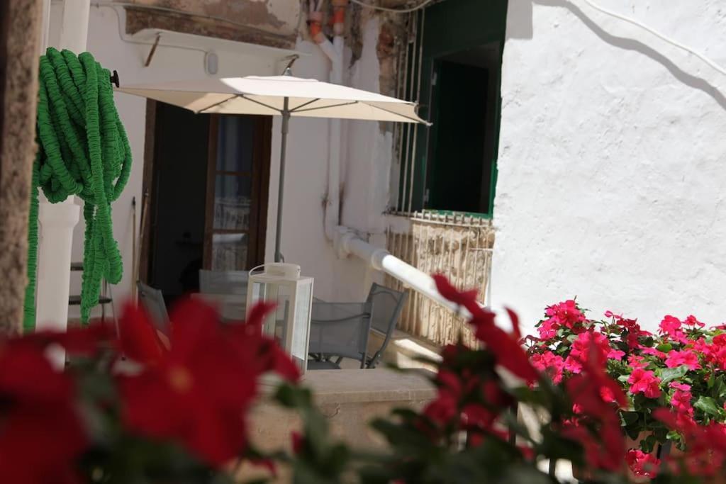 Sant'Anna Home Palermo Dış mekan fotoğraf